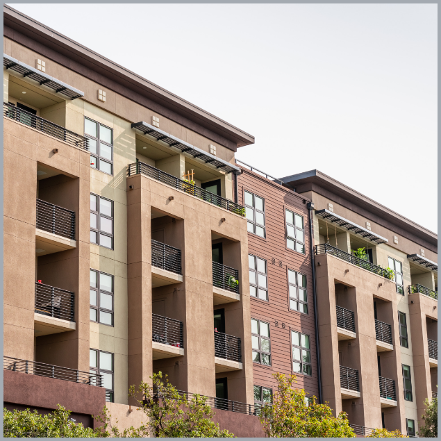 Rectangle -1 Rectangle -1