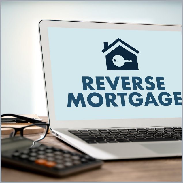 Rectangle -10 Rectangle -10